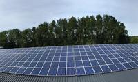 448 poly 250 WP zonnepanelen verdeeld over 2 staldaken + Hantumhuizen